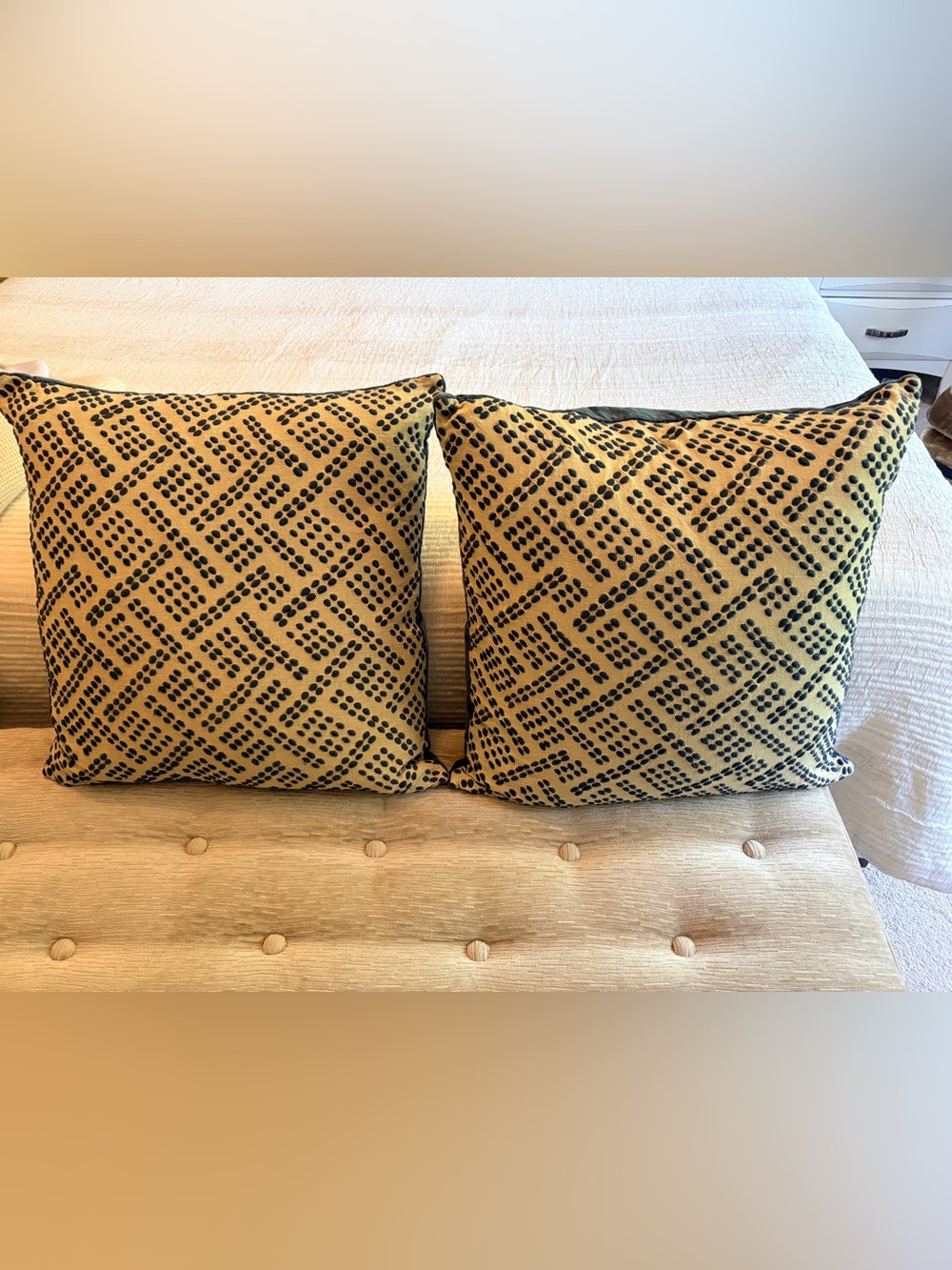 Crate & Barrel Genevieve Bennett Ernest pillow covers set of two
